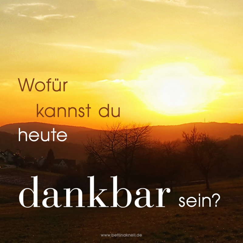 Wofuer kannst du heute dankbar sein.jpg