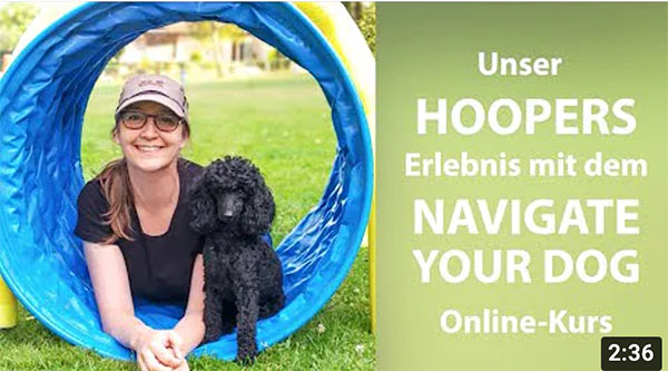 Hoopers mit Holly - Navigate Your Dog Online Kurs